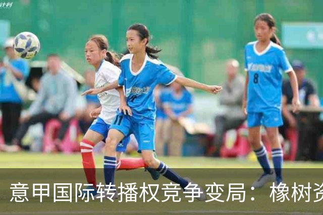 意甲国际转播权竞争变局：橡树资本与贝恩资本相继退出
